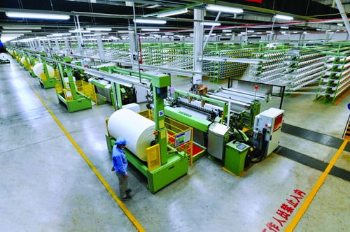 奮力打造世界一流的尼龍全產(chǎn)業(yè)鏈價值創(chuàng)造者 神馬股份高質(zhì)量發(fā)展紀(jì)實